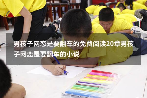 男孩子网恋是要翻车的免费阅读20章（男孩子网恋是要翻车的 小说）